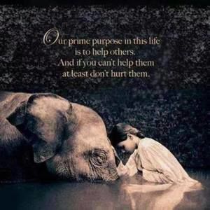 Meet your Posher, Holly